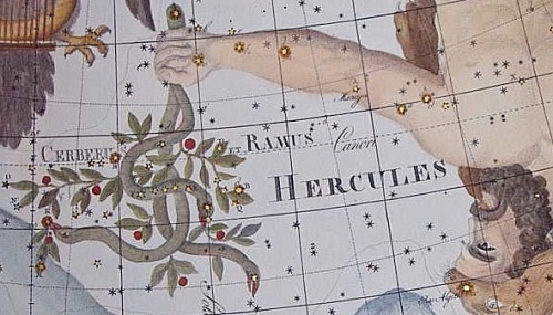 Hercule et Cerbère
