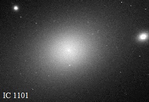 Galaxie elliptique IC 1101