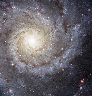 La galaxie spirale M 74